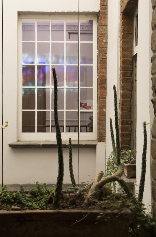 El Patio 77 B&B เม็กซิโกซิตี้ ภายนอก รูปภาพ