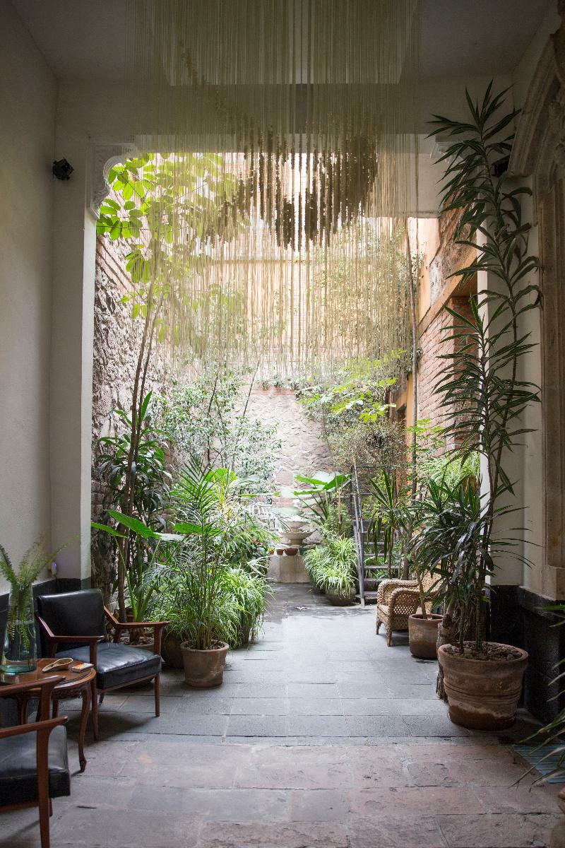 El Patio 77 B&B เม็กซิโกซิตี้ ภายนอก รูปภาพ